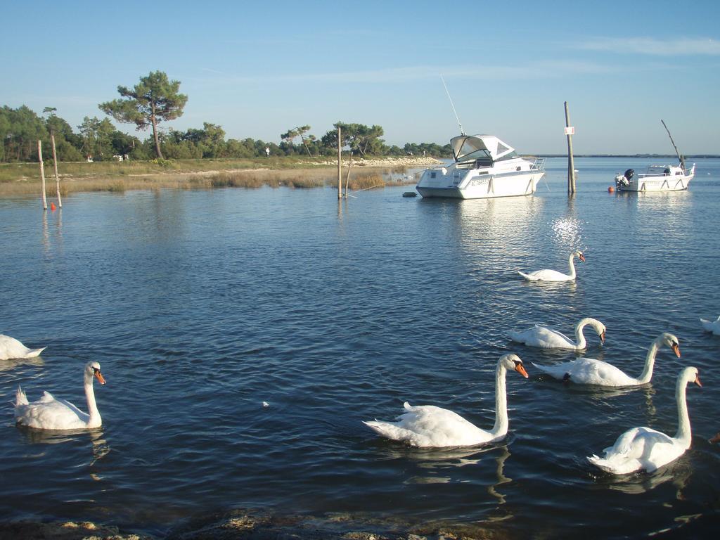 兰顿Les Marinas De Cassy公寓 外观 照片